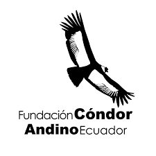 Fundación Cóndor