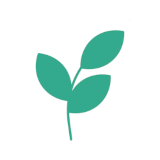 Canvas Logo